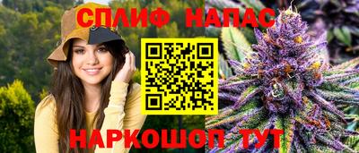 дмт Шебекино