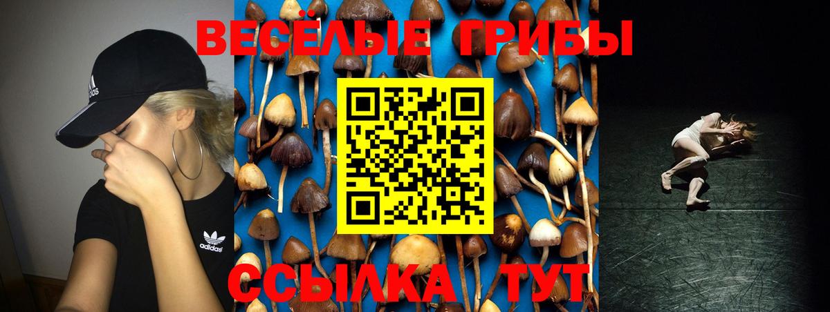 Псилоцибиновые грибы MAGIC MUSHROOMS Гусь-Хрустальный